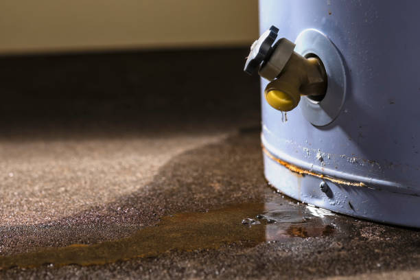 Best Ceiling water damage repair  in Heritage Lake, IN