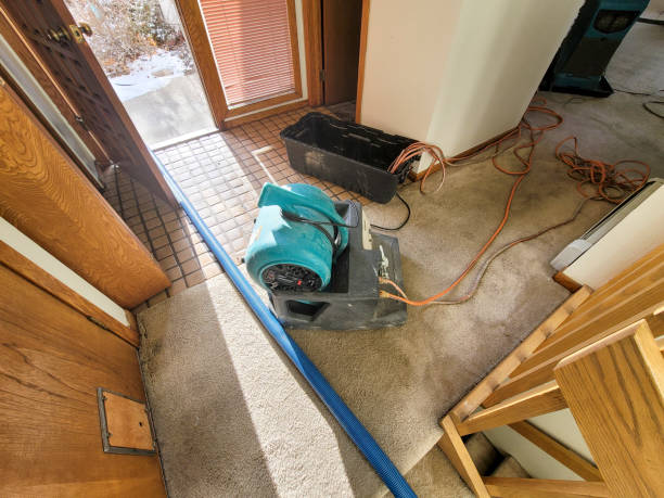 Best Basement water damage restoration  in Heritage Lake, IN