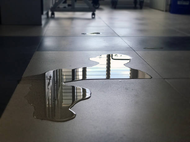 Best 24-hour water damage restoration  in Heritage Lake, IN