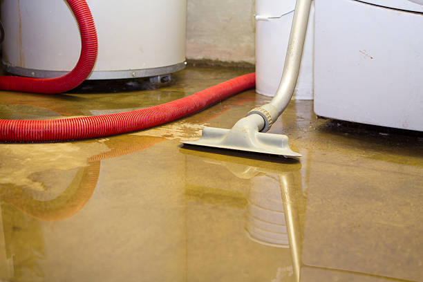 Best Flood damage cleanup  in Heritage Lake, IN