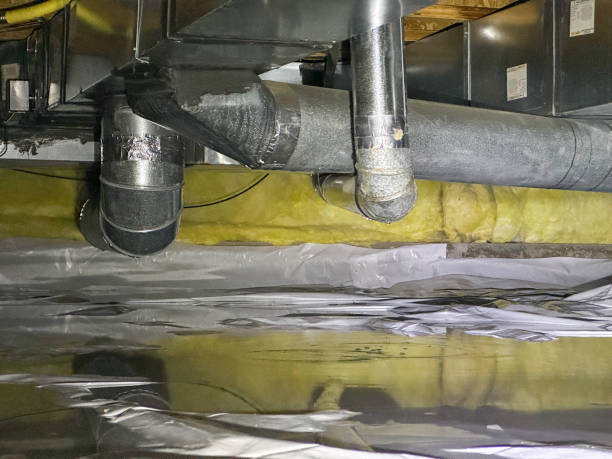 Best Sewage cleanup and water damage restoration  in Heritage Lake, IN