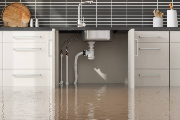 Best Water damage restoration process  in Heritage Lake, IN